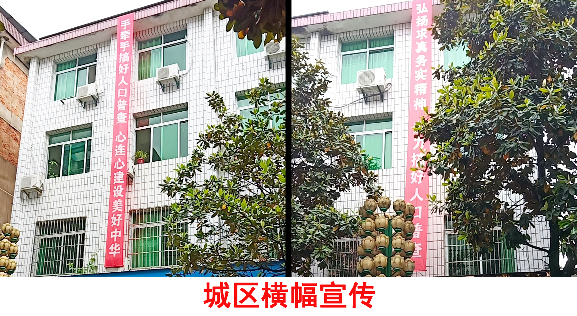 建宁家禽